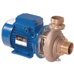 1,1 kW Pumpe