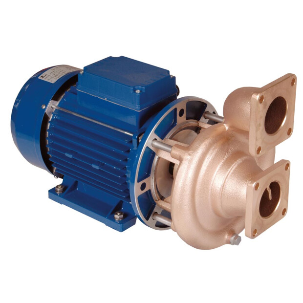2,2 kW Pumpen - verschiedene Ausführungen 230 / 400 V