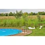 Poolfiguren -Delfin