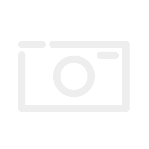 Treppenleiter mit Sicherheitsstufen Holm 43mm - V2A mit Einbauhalterungen 4-stufig