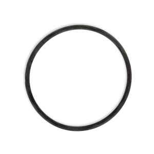 O-Ring zu Filterkessel für Trend Top Filteranlagen |...