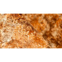 Renolit Alkorplan Touch | 2,00 mm Stärke | verschiedene Ausführungen