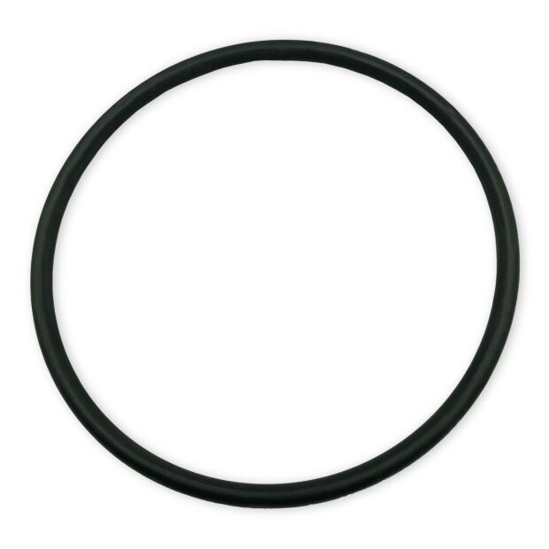 O-Ring für Deckel 105 x 5 mm für BADU Picco | Magic | Teil Nr. 412.1
